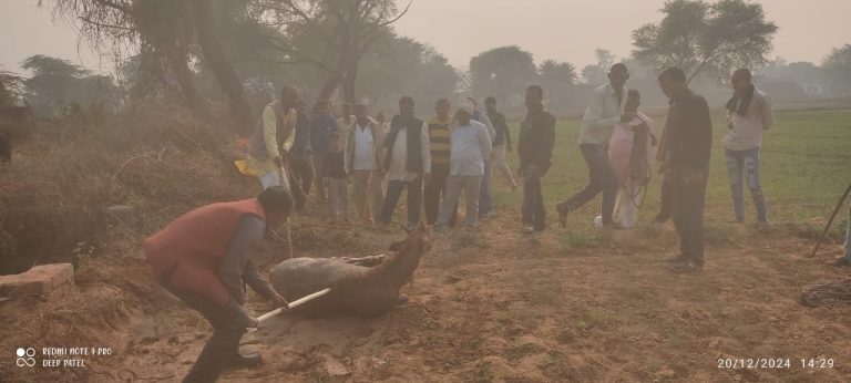 WhatsApp Image 2024-12-20 at 8.18.52 PM