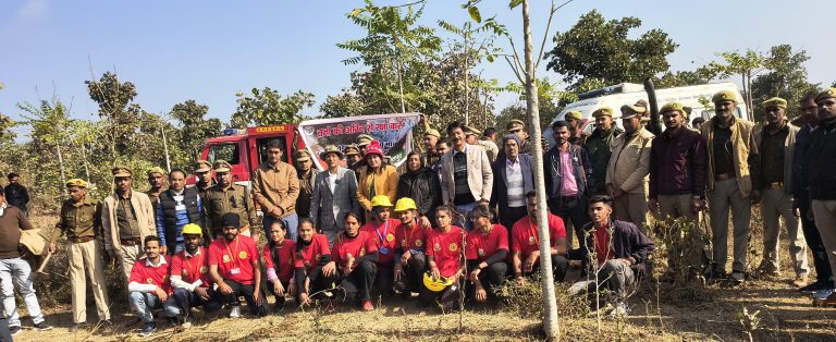 WhatsApp Image 2024-12-30 at 19.03.17