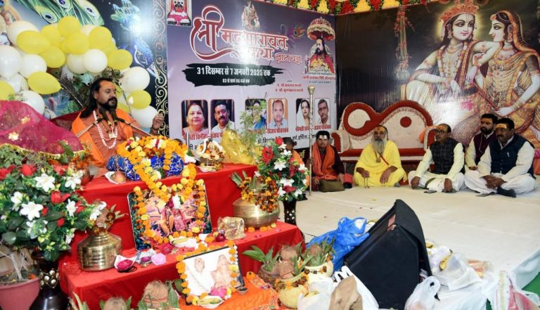 WhatsApp Image 2025-01-05 at 18.31.43