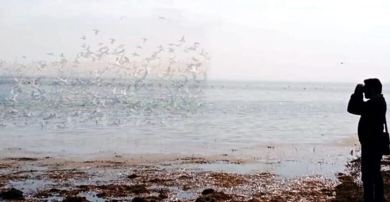 WhatsApp Image 2025-01-05 at 18.32.45