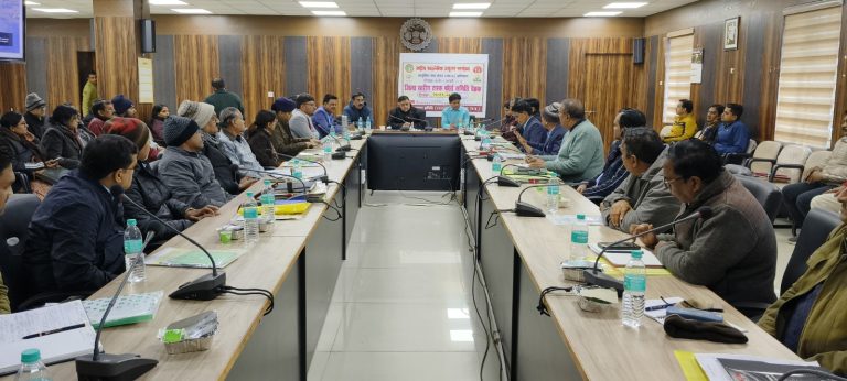 WhatsApp Image 2025-01-06 at 17.59.07