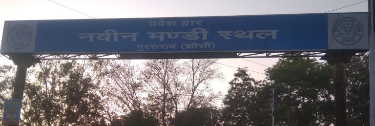 WhatsApp Image 2025-01-07 at 8.32.48 PM