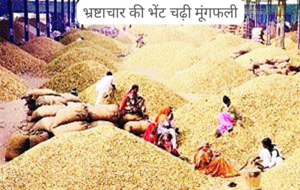 WhatsApp Image 2025-01-13 at 6.28.52 PM