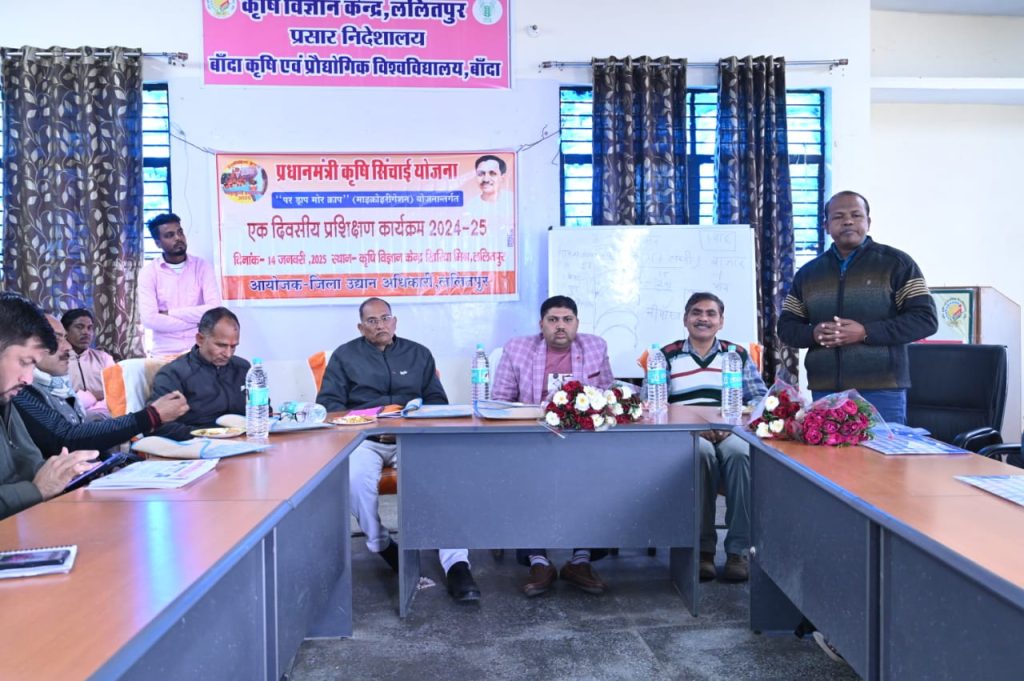 WhatsApp Image 2025-01-14 at 18.50.23 (1)