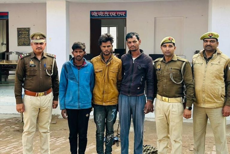 WhatsApp Image 2025-01-14 at 19.16.15