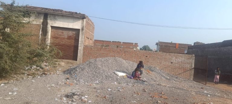 WhatsApp Image 2025-01-14 at 6.22.09 PM