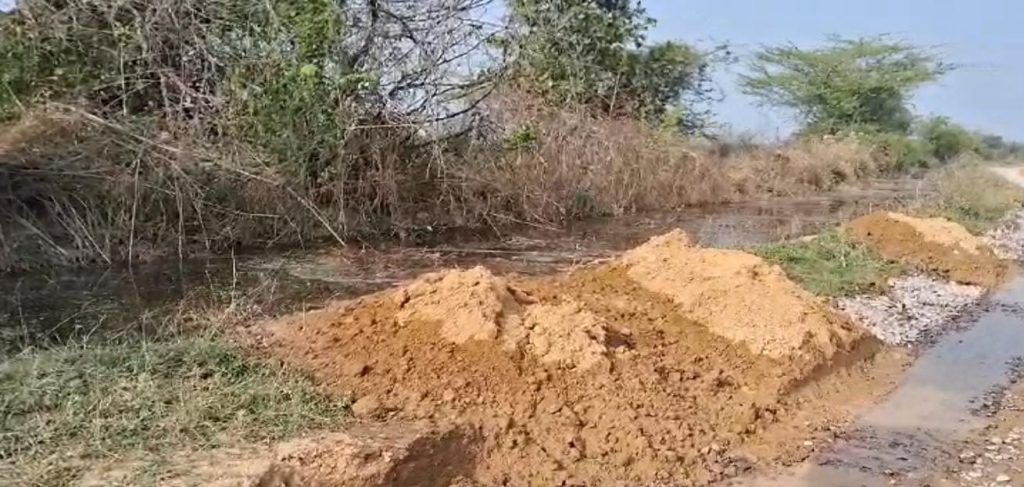 WhatsApp Image 2025-01-21 at 19.11.57