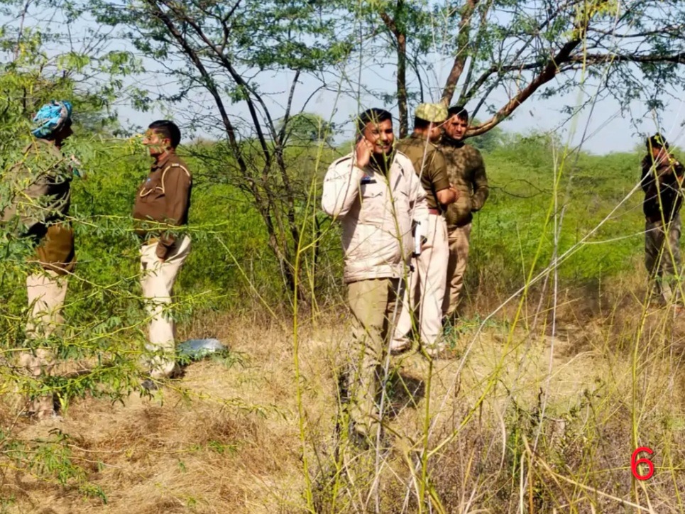 WhatsApp Image 2025-02-06 at 8.51.51 PM