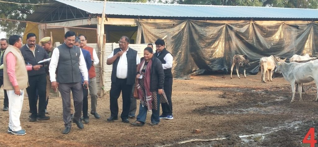 WhatsApp Image 2025-02-10 at 9.09.39 PM (1)