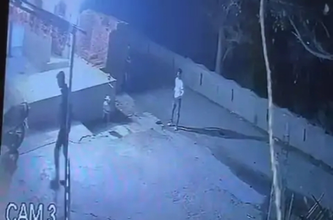 WhatsApp Image 2025-02-28 at 6.58.27 PM (1)