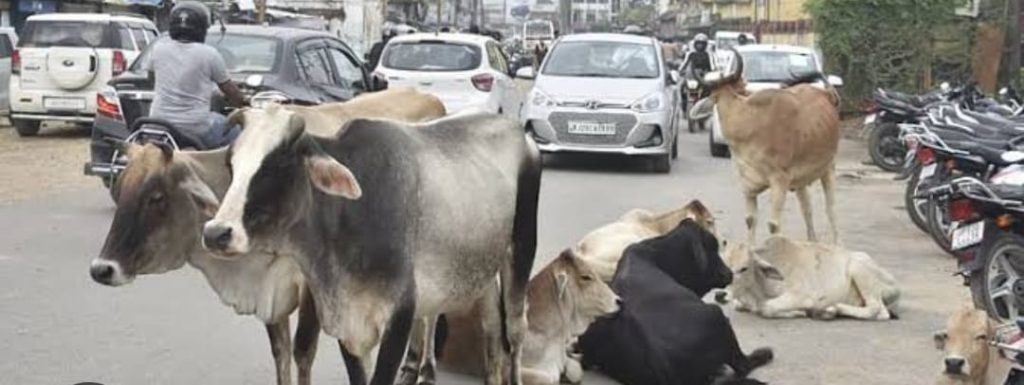 WhatsApp Image 2025-06-01 at 8.04.57 PM