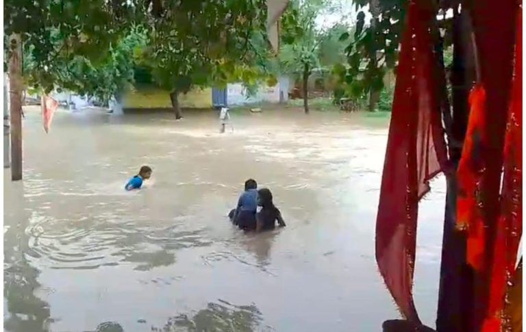 WhatsApp Image 2025-07-12 at 7.35.07 PM