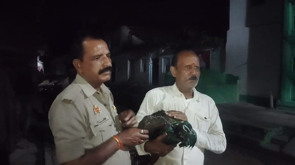 WhatsApp Image 2025-08-06 at 9.50.46 PM