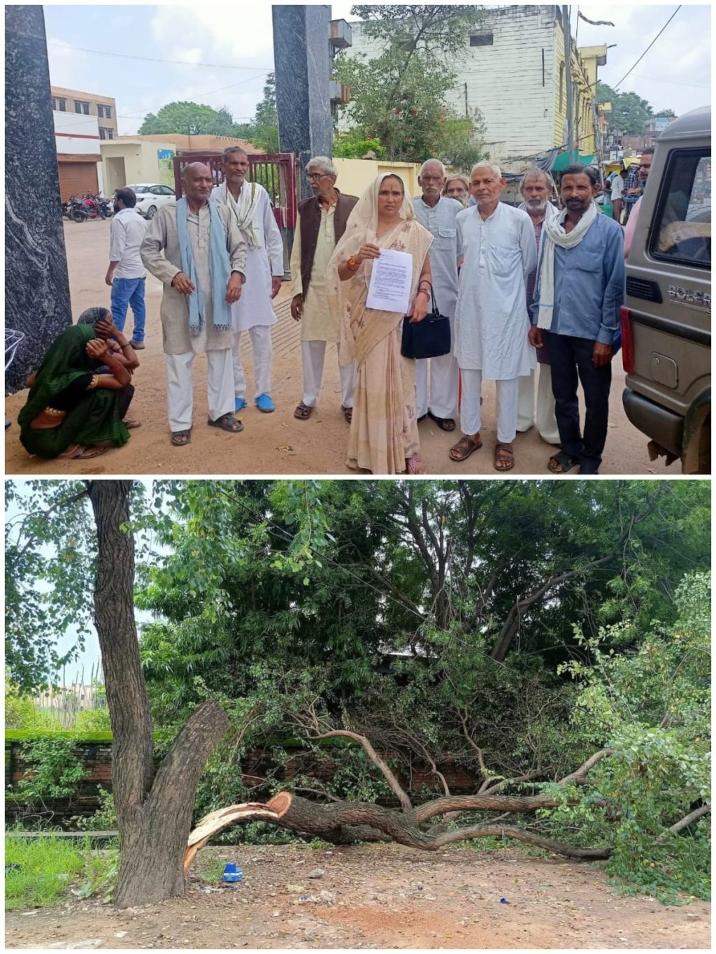 WhatsApp Image 2025-08-10 at 8.38.47 PM