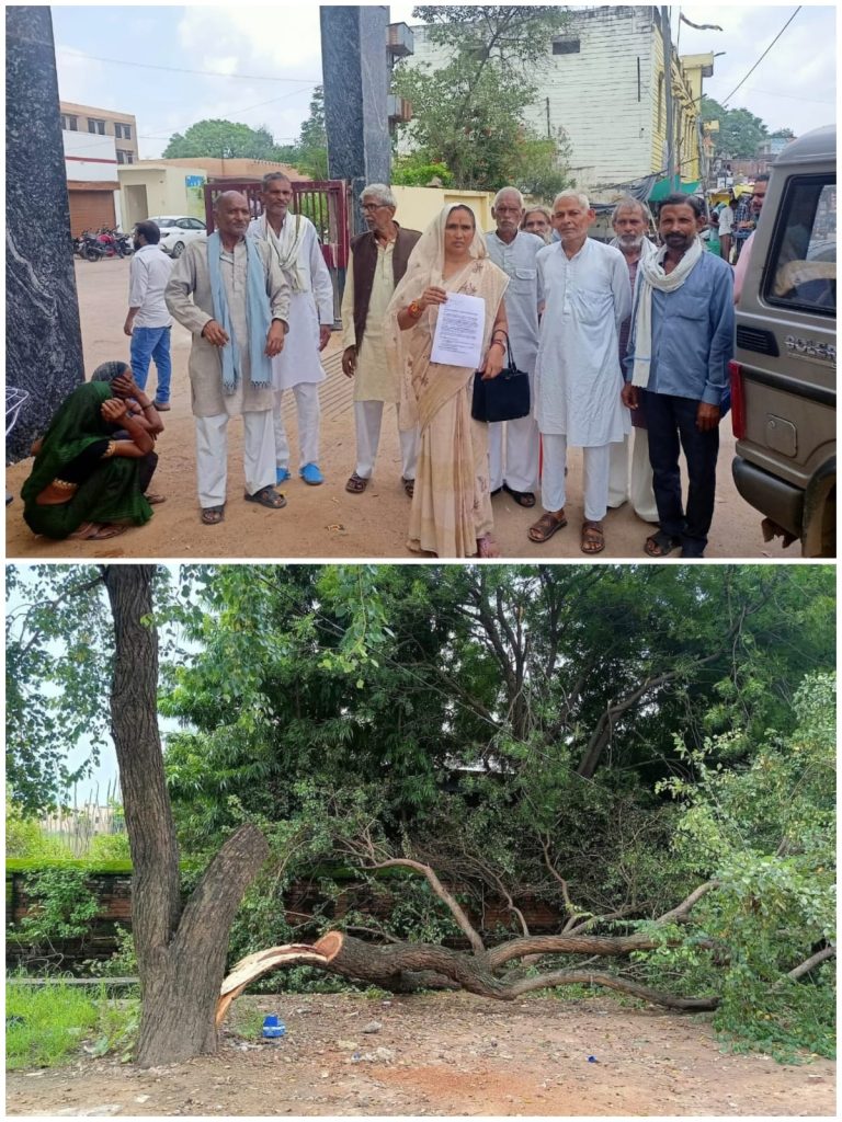 WhatsApp Image 2025-08-10 at 8.38.47 PM