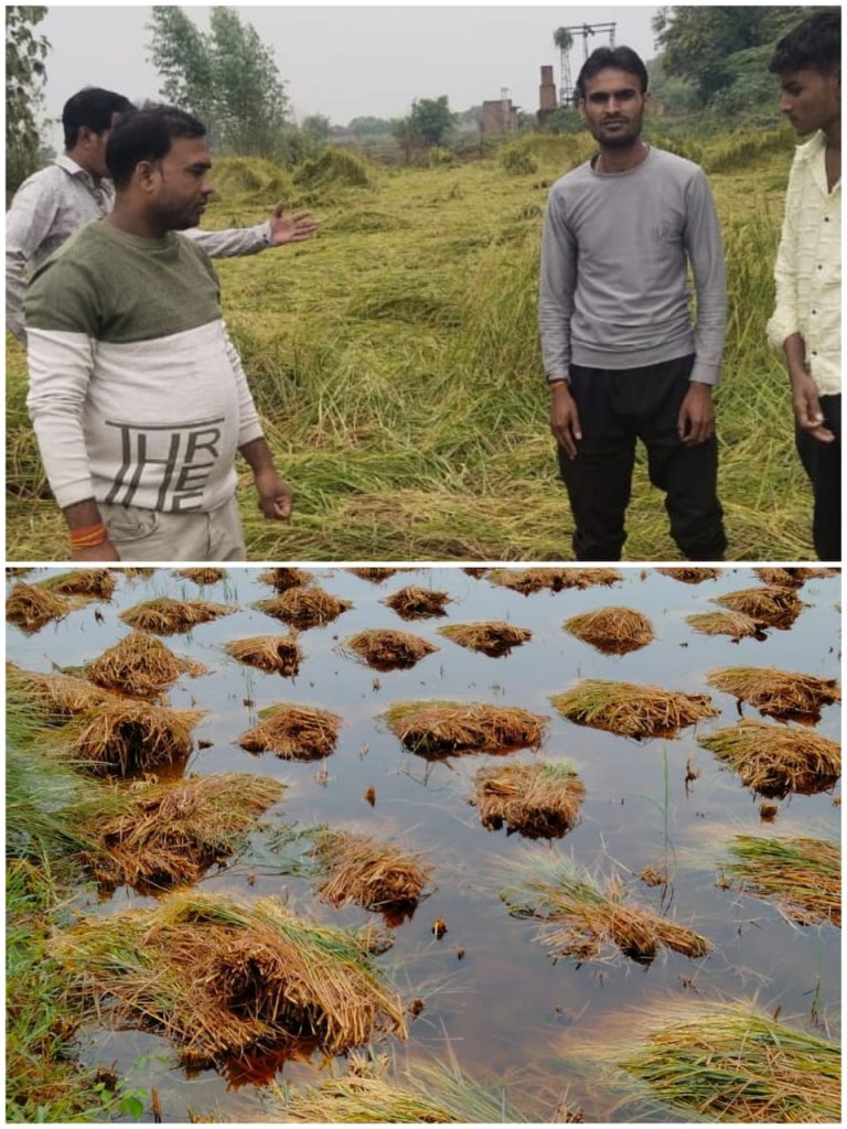 WhatsApp Image 2025-10-29 at 9.19.42 PM