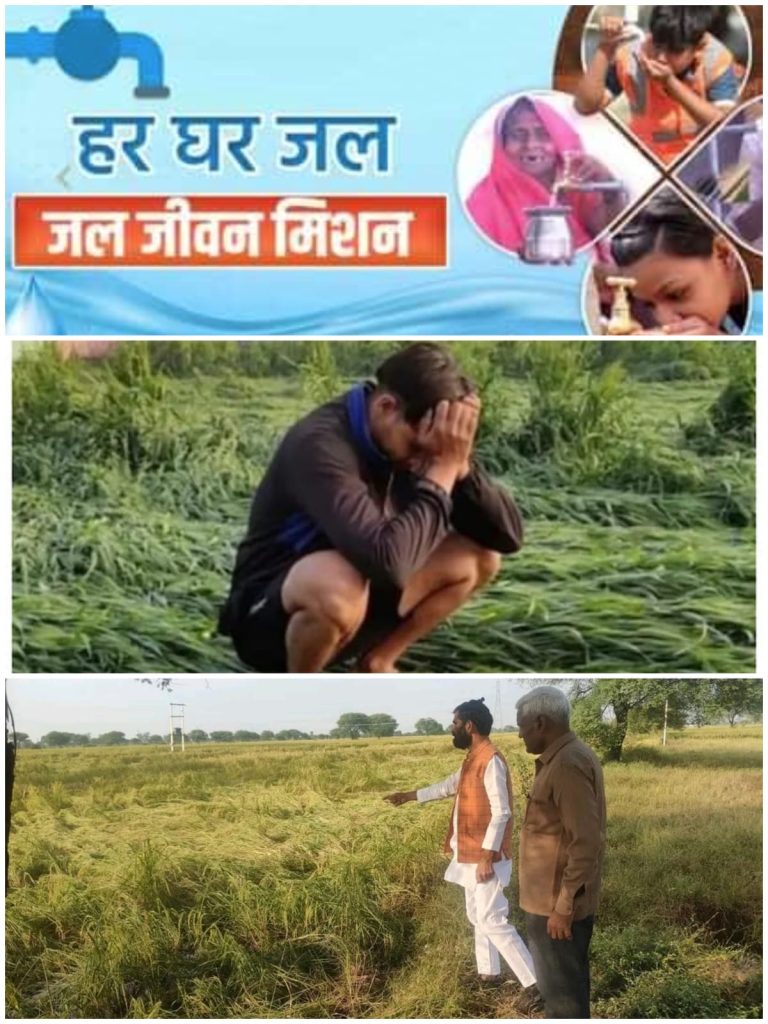 WhatsApp Image 2025-11-02 at 9.14.39 PM