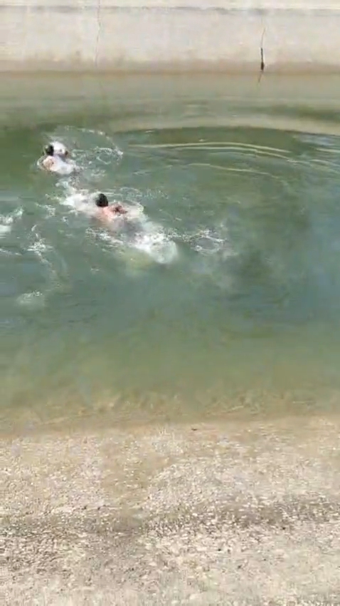 Videoshot_20251205_221319