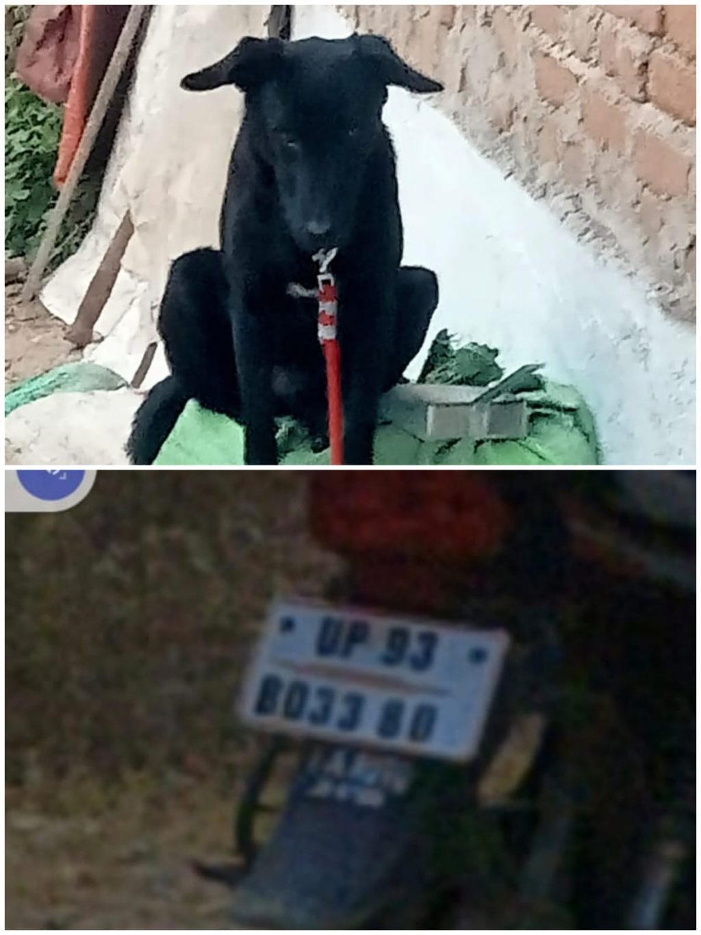 WhatsApp Image 2026-01-20 at 9.32.39 PM