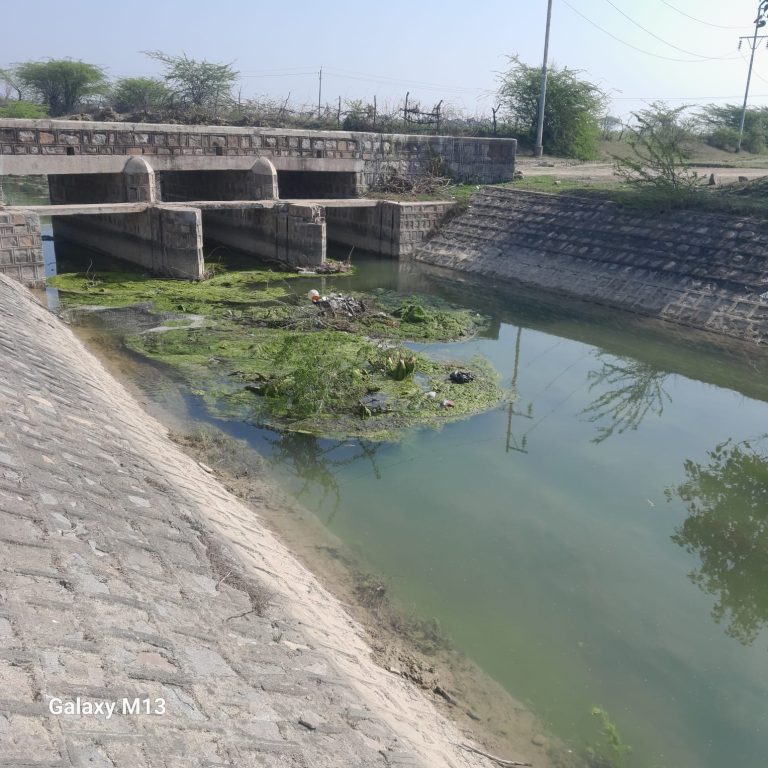 WhatsApp Image 2026-02-14 at 7.34.25 PM