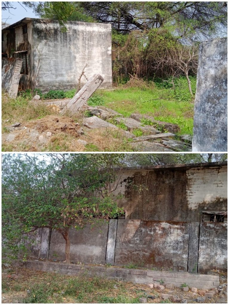 WhatsApp Image 2026-02-20 at 7.45.16 PM