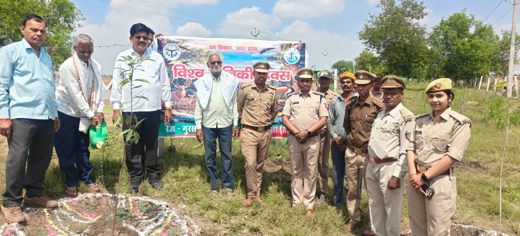 WhatsApp Image 2026-03-21 at 7.53.35 PM