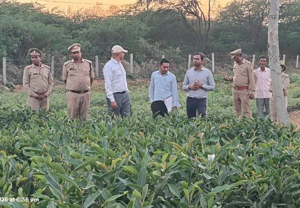 WhatsApp Image 2026-04-15 at 7.53.30 PM